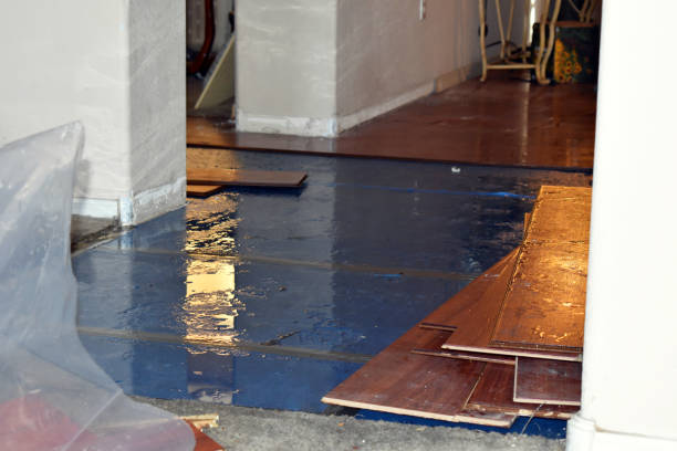 Professional Burst Pipe Cleanup technician working in Langlois, OR